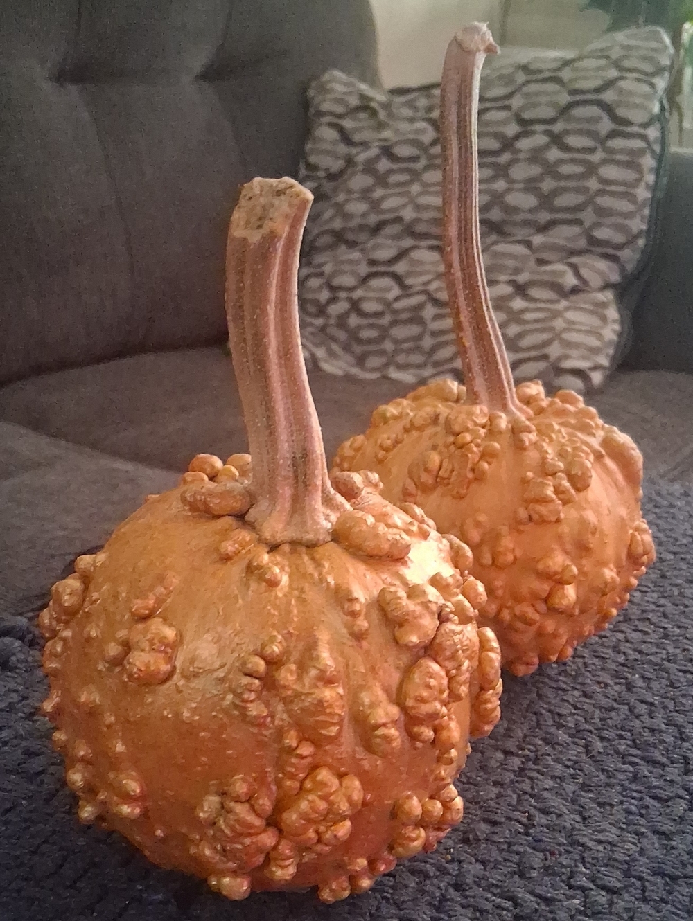 Decorative Dried And Hanc Painted Orange Gourd Pair with Textured Finish